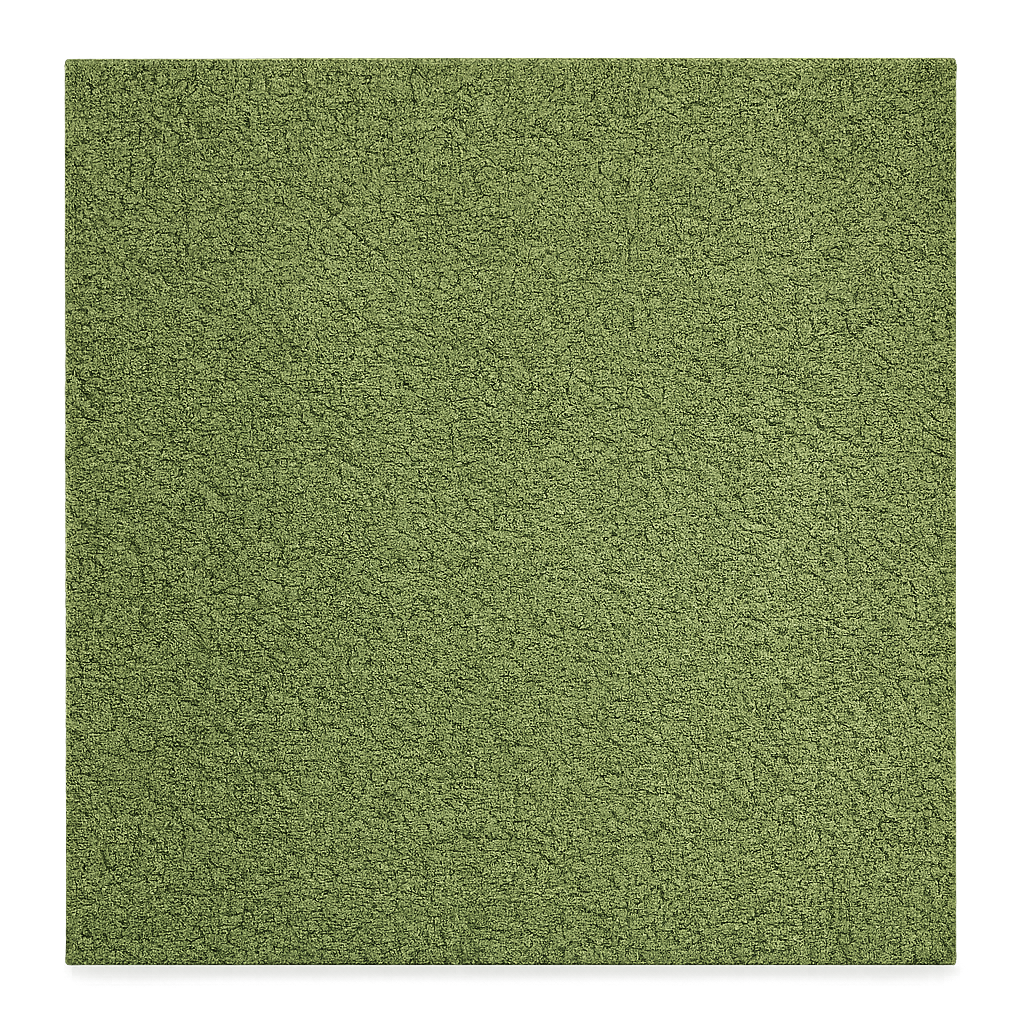  clearance-lines-and-weekly-specials-video product-details Grass-Green-50cm-x-50cm-Carpet-Tiles-8.25-square-metres-available-model-1937Product-image-59484